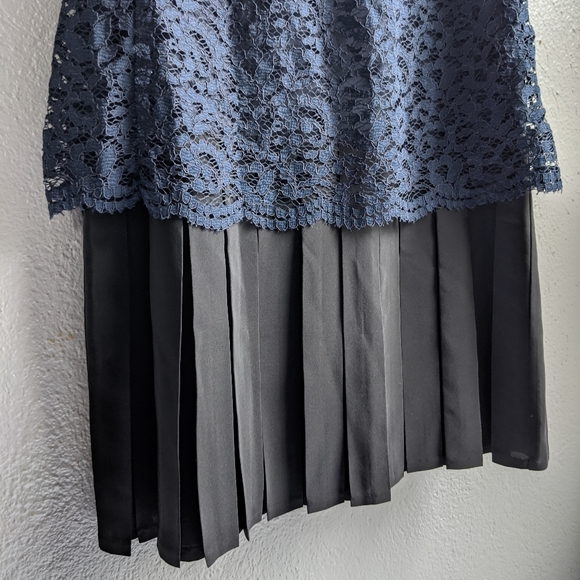 Rebecca Taylor Sleeveless Lace Miz Pleat Dress - Picture 9 of 16